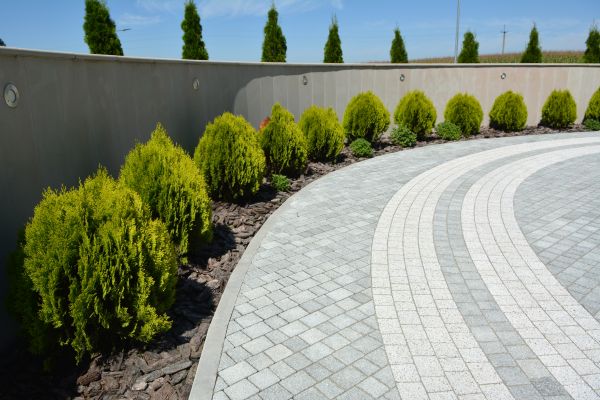 Paver Installation in Mill Valley