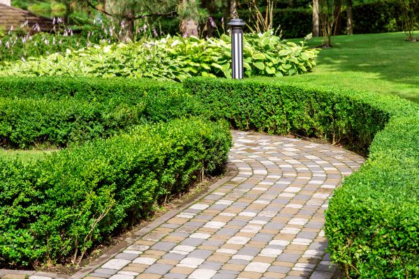 Paved Landscaping in Mill Valley
