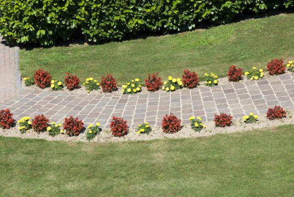 Garden Paving in Mill Valley