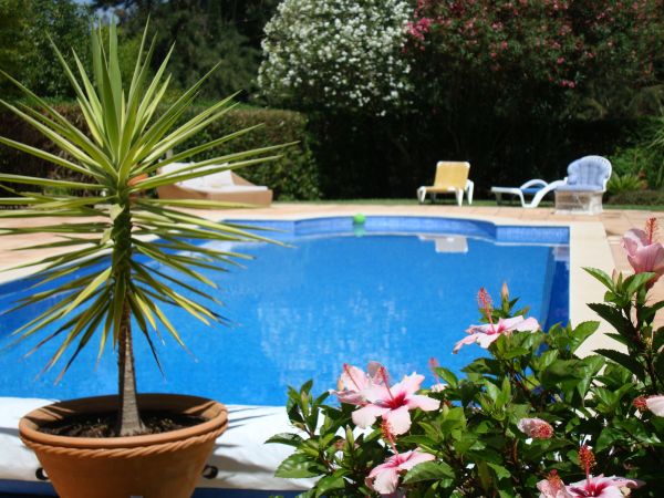 Pool Terrace Renovation in Mill Valley