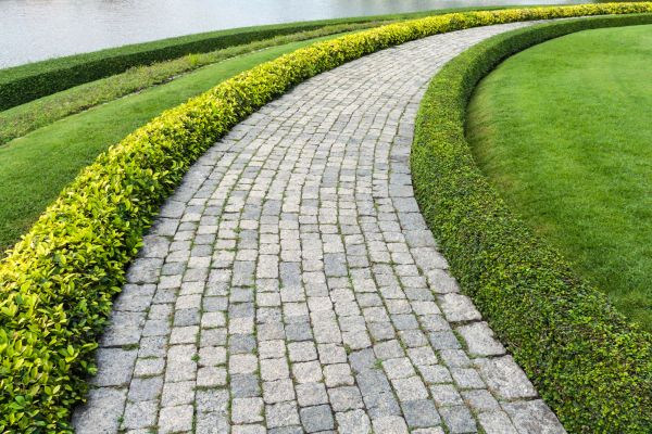 Sidewalk Pavers Installation in Mill Valley