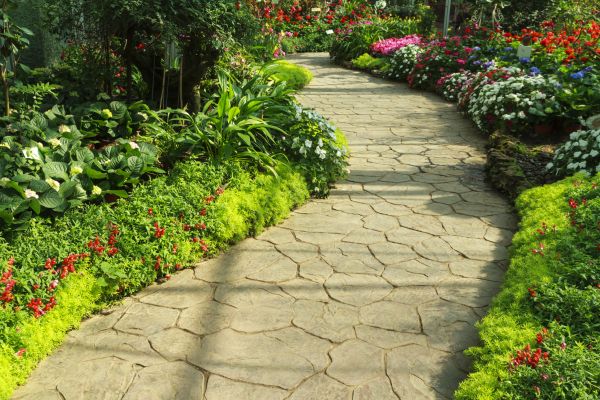 Stone Pathway Service in Mill Valley