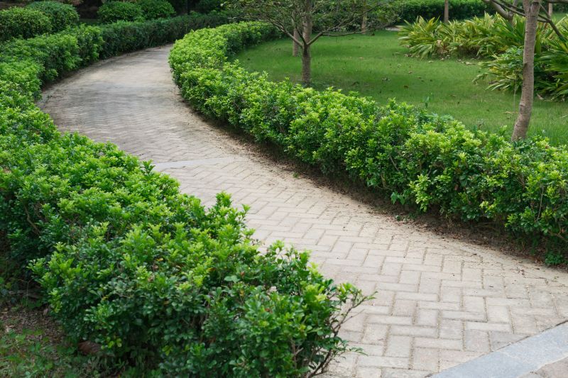 Customized Landscape Design